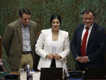 Mesa de la Cámara acuerda protocolo de reemplazo por pre y postnatal de diputada Karol Cariola