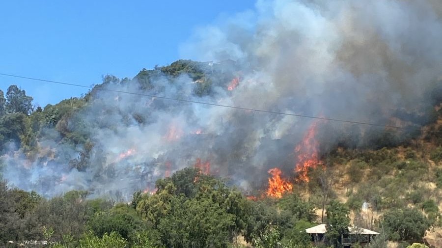 80 hectáreas ha consumido el incendio forestal en Paine: se registran tres viviendas destruidas