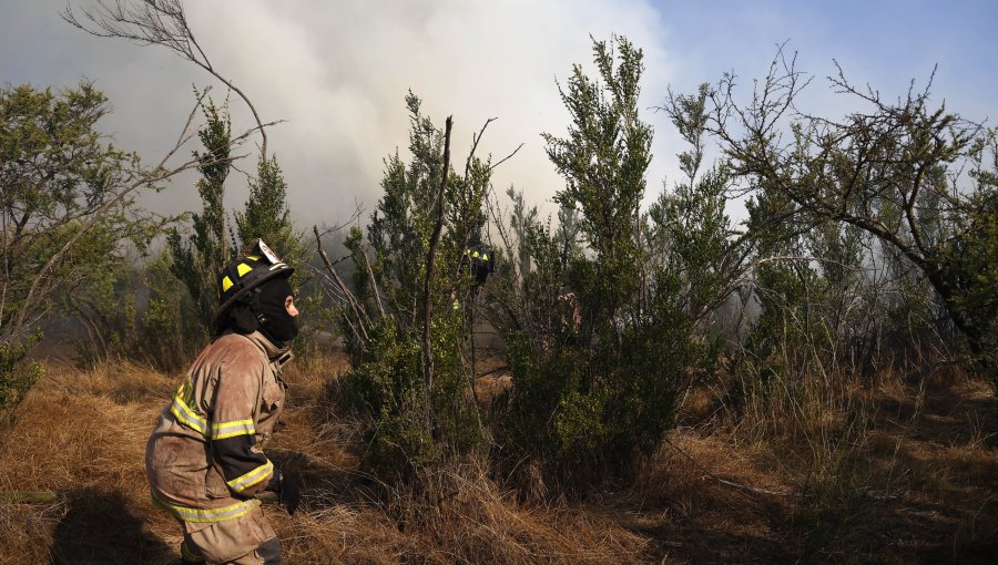 Declaran Alerta Roja para las comunas de Quintero y Puchuncaví por incendio forestal