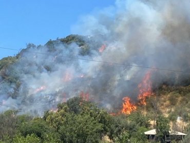 80 hectáreas ha consumido el incendio forestal en Paine: se registran tres viviendas destruidas