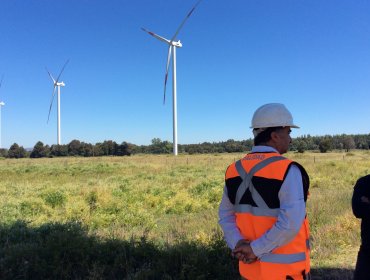 Superintendencia del Medio Ambiente formula cargos a Parque Eólico Negrete por impactos no previstos en la fauna silvestre