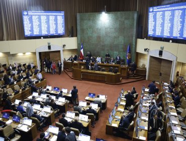 Dos se opusieron a la Ley Antiterrorista: Así votaron los 16 diputados de la Quinta Región