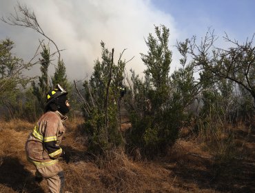 Declaran Alerta Roja para las comunas de Quintero y Puchuncaví por incendio forestal