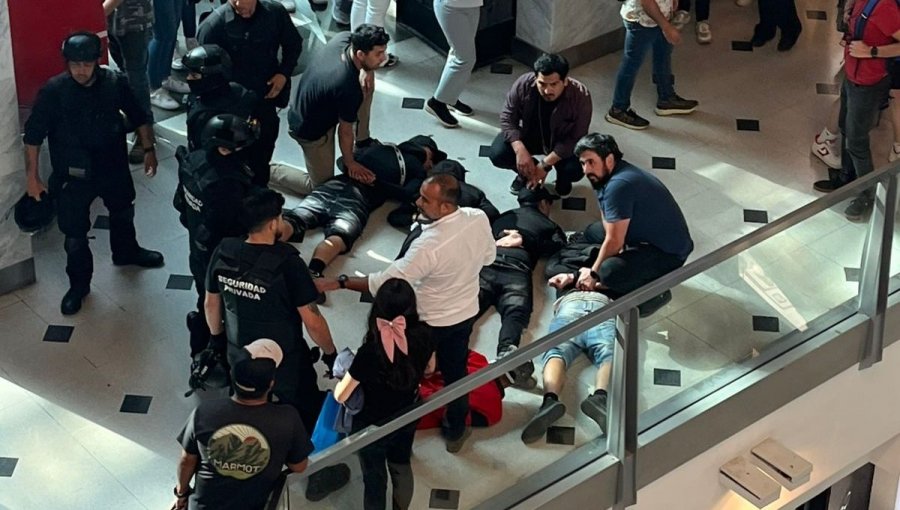 Violento incidente en el Mall Marina de Viña termina con siete detenidos: grupo agredió y amenazó a los guardias de seguridad