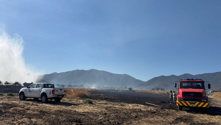 Incendio forestal afecta al sector Los Caleos de Nogales: suministro eléctrico fue cortado para la seguridad de Bomberos