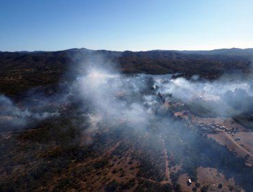 Declaran Alerta Temprana Preventiva para la región de Valparaíso por amenaza de incendios forestales