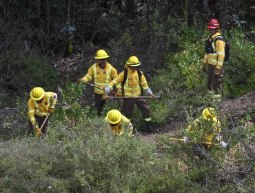 Conaf y riesgo de incendios forestales por altas temperaturas en la región de Valparaíso: "Prevenirlos es más fácil que combatirlos"