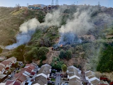 Vecinos retienen a mujer tras acusarla de iniciar focos de fuego en zona afectada por el megaincendio de febrero en Viña del Mar