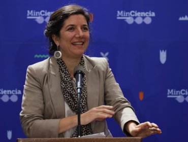 Gobierno designa a ministra Aisén Etcheverry como vocera (s) de Gobierno: Camila Vallejo iniciará el lunes su prenatal