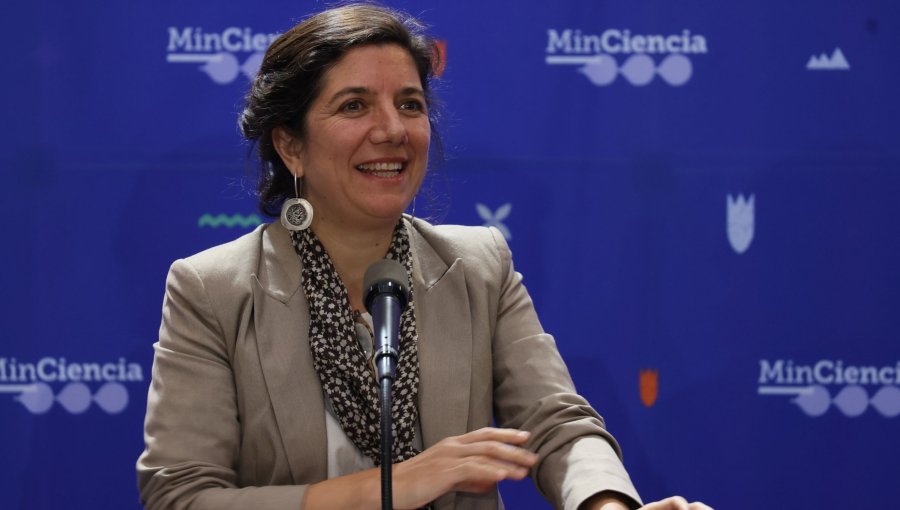 Gobierno designa a ministra Aisén Etcheverry como vocera (s) de Gobierno: Camila Vallejo iniciará el lunes su prenatal