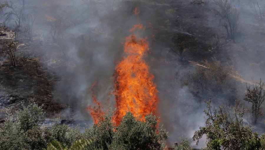 Incendio en ladera oeste del cerro San Cristóbal afecta zona cercana a viviendas