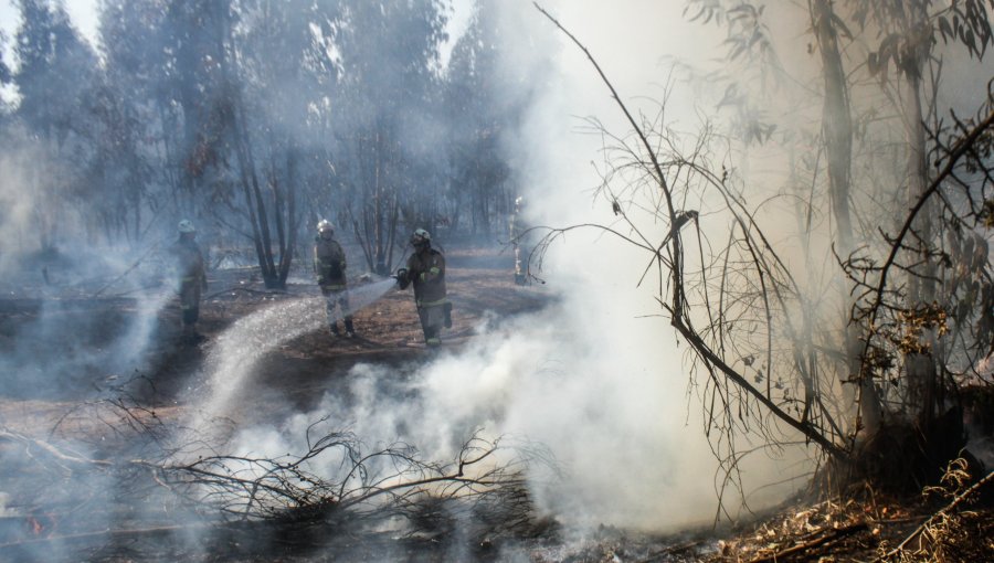 Alerta amarilla en San Antonio y Cartagena por incendio forestal