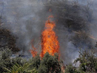 Incendio en ladera oeste del cerro San Cristóbal afecta zona cercana a viviendas