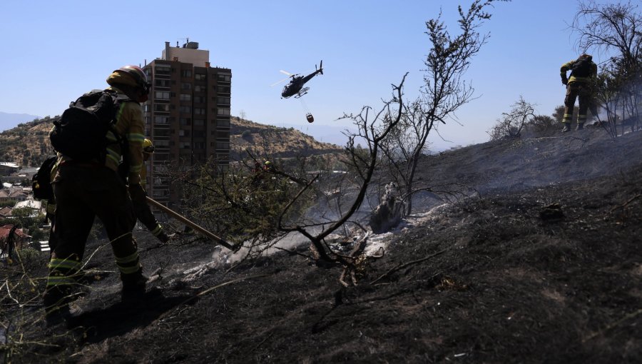 Incendio forestal en Cartagena deja 330 hectáreas afectadas y un detenido