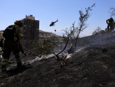 Incendio forestal en Cartagena deja 330 hectáreas afectadas y un detenido