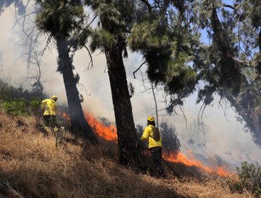 10 incendios forestales se mantienen activos y en combate en siete regiones del país