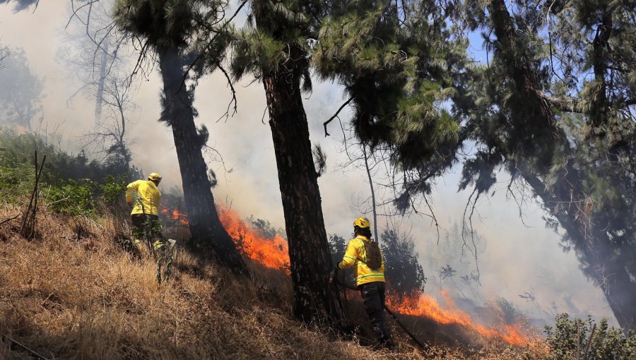 10 incendios forestales se mantienen activos y en combate en siete regiones del país