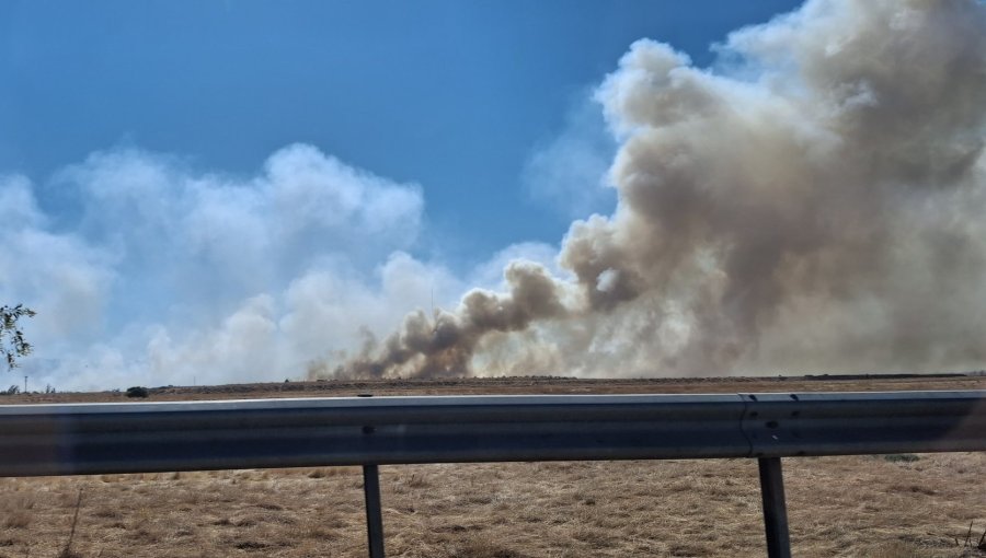 Declaran Alerta Roja para las comunas de Quilicura y Lampa por incendio forestal: 30 hectáreas han sido consumidas