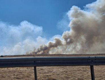 Declaran Alerta Roja para las comunas de Quilicura y Lampa por incendio forestal: 30 hectáreas han sido consumidas