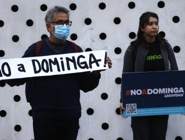 Proyecto Dominga sigue avanzando: Tribunal Ambiental desestima solicitud del gobierno para frenar avance