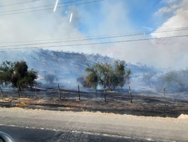 Avance rápido de incendio en Colina y Tiltil obliga a declarar Alerta Roja