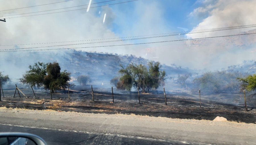 Avance rápido de incendio en Colina y Tiltil obliga a declarar Alerta Roja