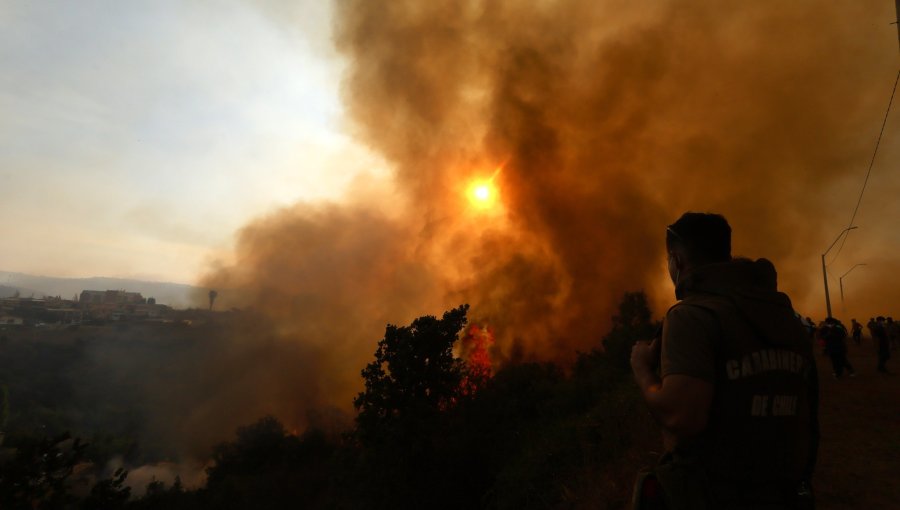 Emiten alerta roja en Curacautín por incendio forestal en el parque Tolhuaca