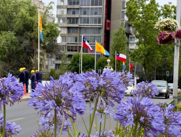 Viña del Mar conmemora 150 años de historia: Ripamonti iza banderas en toda la ciudad y anuncia nuevos desafíos