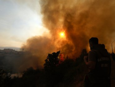 Emiten alerta roja en Curacautín por incendio forestal en el parque Tolhuaca