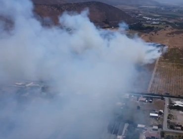 Declaran Alerta Roja y solicitan evacuar el sector población La Canela de La Ligua por incendio forestal