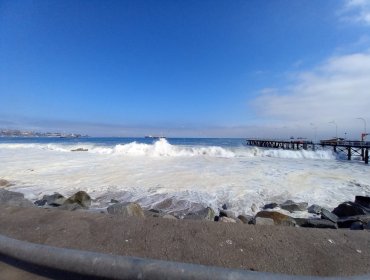 Pescadores de Valparaíso reconocen estar extrañados por fecha de las marejadas: "No eran tan grandes como ahora"