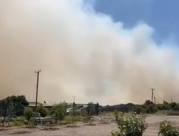 Cancelan la Alerta Roja para la comuna de La Ligua tras control de incendio forestal que consumió 15 hectáreas