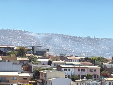 Senapred activa mensajería SAE y solicita evacuar sector de Montedónico por incendio forestal en Valparaíso