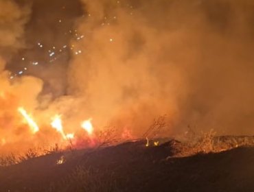 Desconocidos provocan incendio en el borde del río Mapocho tras manipular fuegos artificiales