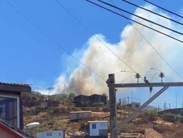 Decretan Alerta Roja para Valparaíso por incendio forestal en la parte alta de la ciudad