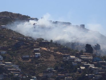 Controlan incendio forestal que mantuvo con Alerta Roja a Valparaíso: Senapred debió activar dos veces la Alerta SAE