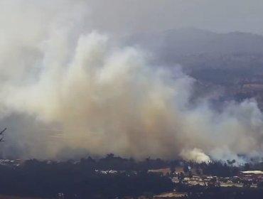 Decretan Alerta Amarilla por incedio forestal que afecta al sector Leyda de San Antonio