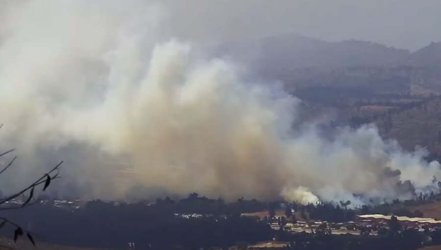 Decretan Alerta Amarilla por incedio forestal que afecta al sector Leyda de San Antonio