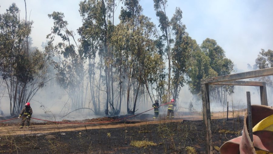 10 hectáreas ha consumido el incendio forestal en el sector Leyda de San Antonio