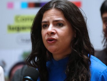 Ley de aborto en tres causales: Ministra Orellana subraya necesidad de garantizar acceso