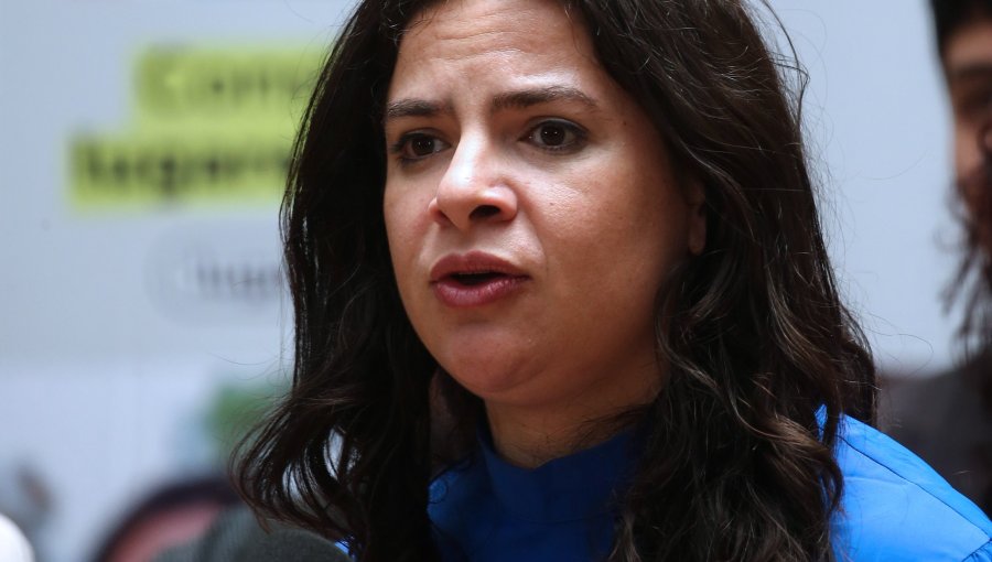 Ley de aborto en tres causales: Ministra Orellana subraya necesidad de garantizar acceso