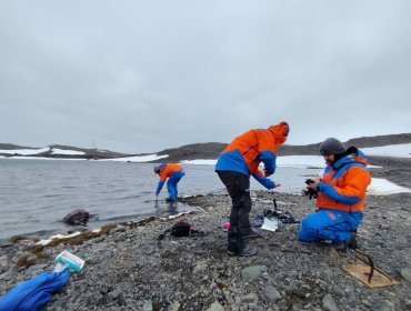 Académico viñamarino desde la Expedición Científica Antártica: "Da nuevo impulso y relevancia a la investigación científica"