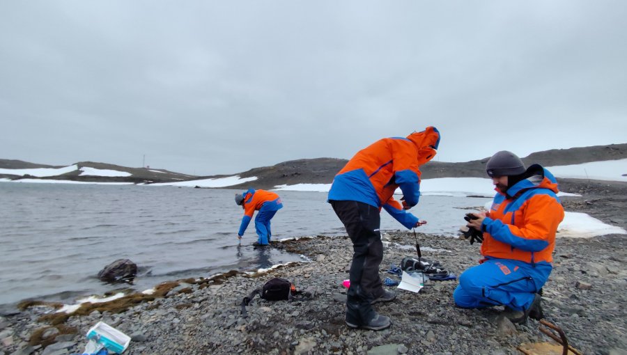 Académico viñamarino desde la Expedición Científica Antártica: "Da nuevo impulso y relevancia a la investigación científica"