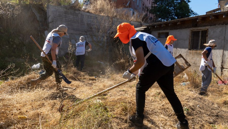 Plan preventivo de incendios forestales lleva construidos más 85 mil metros lineales de cortafuegos en sectores de Viña del Mar