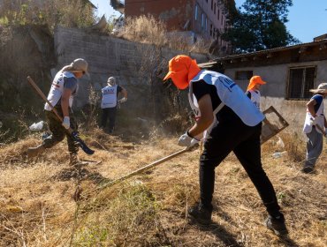 Plan preventivo de incendios forestales lleva construidos más 85 mil metros lineales de cortafuegos en sectores de Viña del Mar