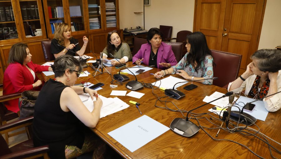 Senadoras desde el PC a RN presentaron su propia indicación para mejorar pensiones a mujeres: "Tenemos que ir acortando la brecha"