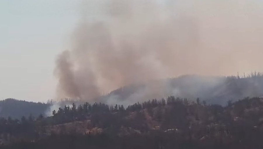 Declaran Alerta Roja para Valparaíso por incendio forestal en la Reserva Lago Peñuelas