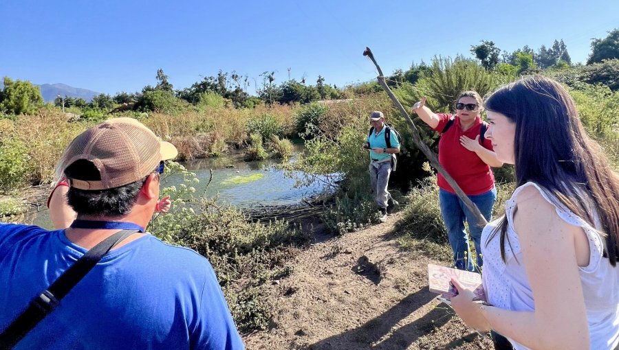 Colapso de fosa séptica tiene en vilo a vecinos de Limache: temen que se produzca una grave crisis sanitaria en el sector Las Cruces