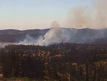 3 hectáreas ha consumido el incendio forestal al interior de la Reserva Lago Peñuelas en Valparaíso