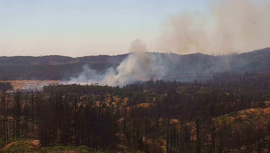 3 hectáreas ha consumido el incendio forestal al interior de la Reserva Lago Peñuelas en Valparaíso